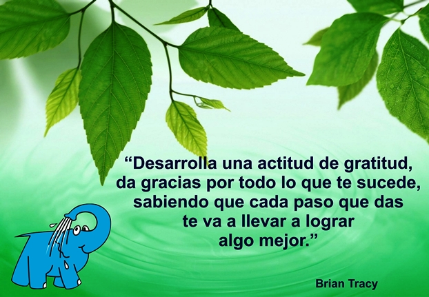 Una Enseñanza de Brian Tracy sobre La Gratitud, en La Frase del Día del Elefante Azul de Avilés
